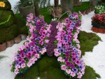НАЦИОНАЛНО ИЗЛОЖЕНИЕ ЗА ЦВЕТЯ С МЕЖДУНАРОДНО УЧАСТИЕ „ФЛОРА БУРГАС“ 2015